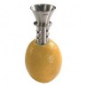Presse citron manuel