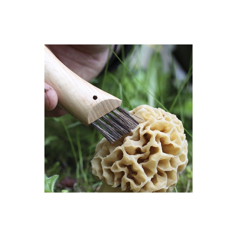 Couteau à champignons Opimel
