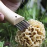 Couteau à champignons Opimel