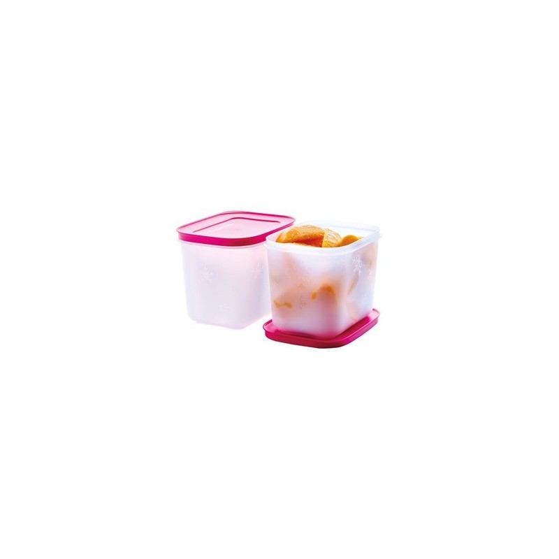 Boites Igloo Tupperware