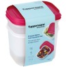 Boites Igloo Tupperware