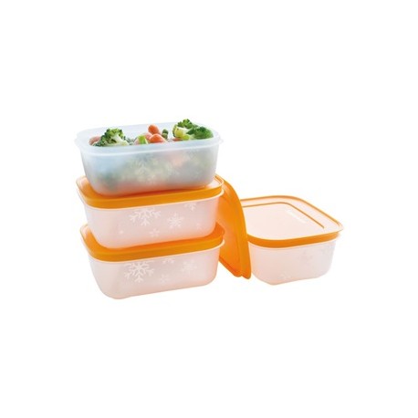 Boites Igloo Tupperware