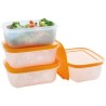 Boites Igloo Tupperware