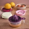 Multi Service Tupperware
