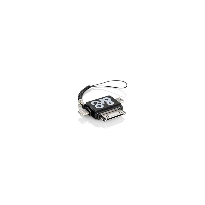 Chargeur iPhone de voiture 