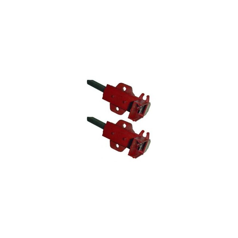 Charbon moteur pour lave-linge Indesit 