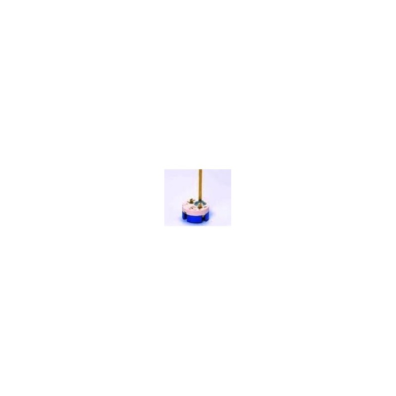 Thermostat de chauffe-eau 