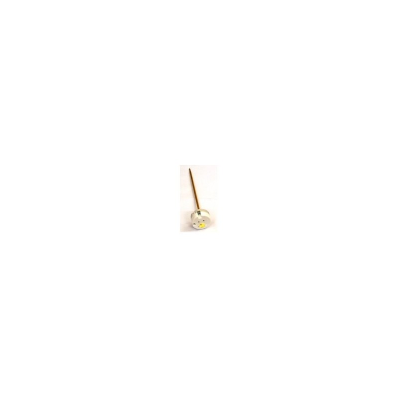 Thermostat de chauffe-eau 