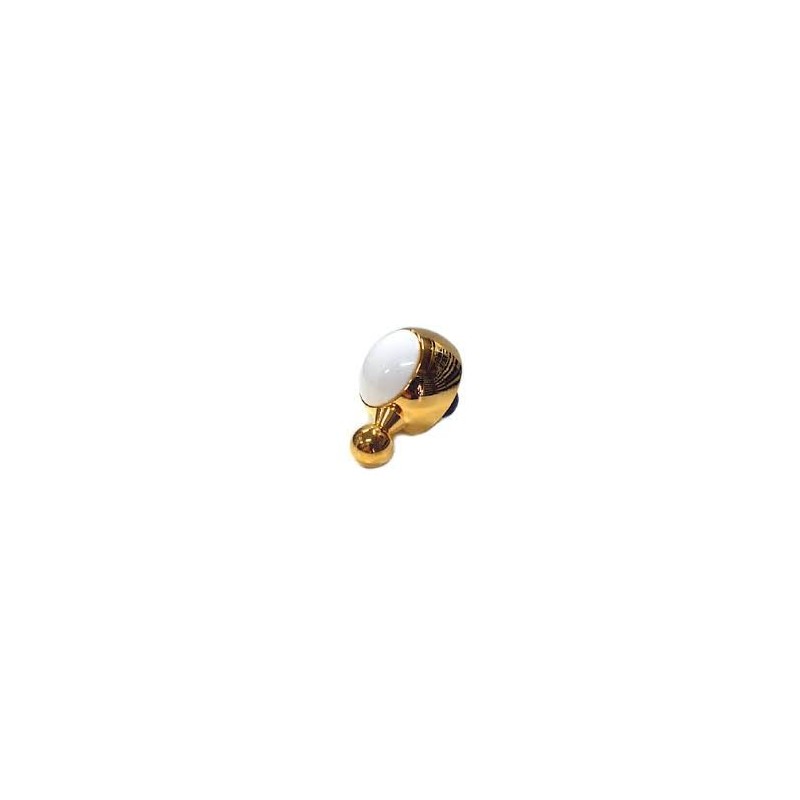 Manette Scholtes