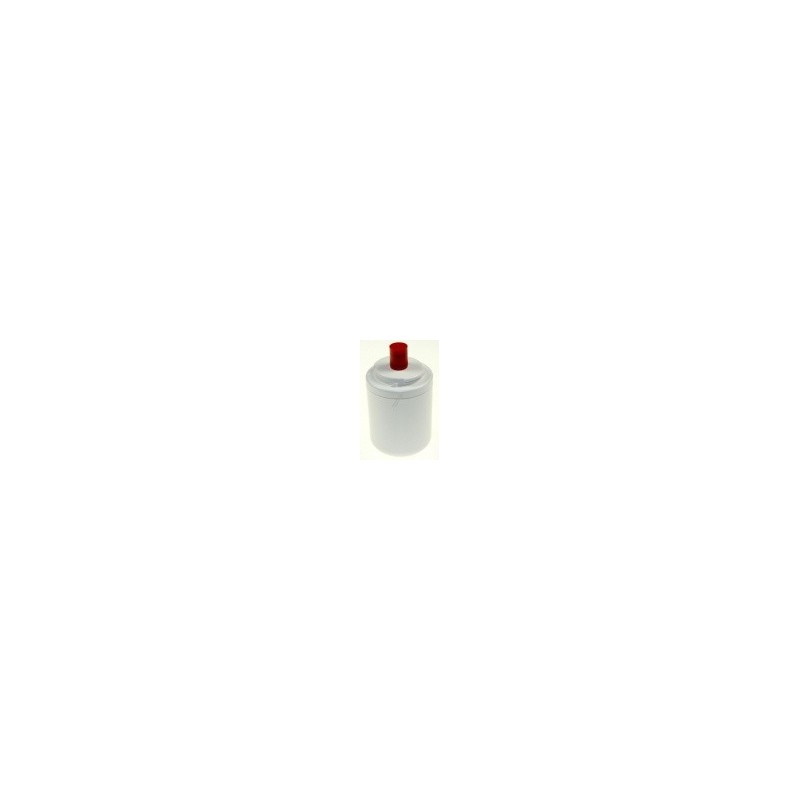 Filtre de réfrigérateur Beko