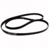 Courroie 1287H8EL pour lave-linge
