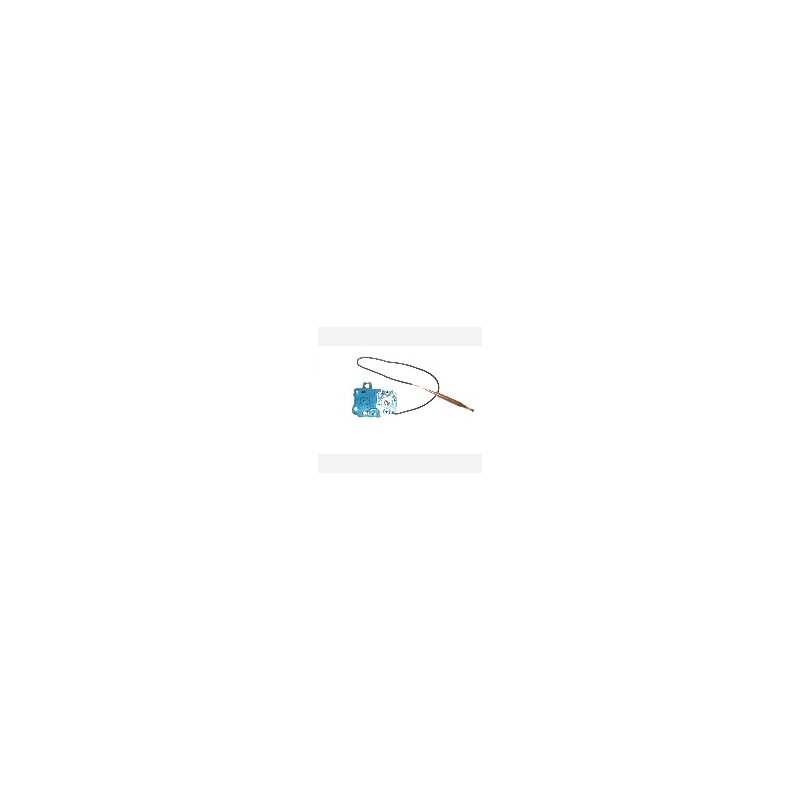 Thermostat de chauffe-eau