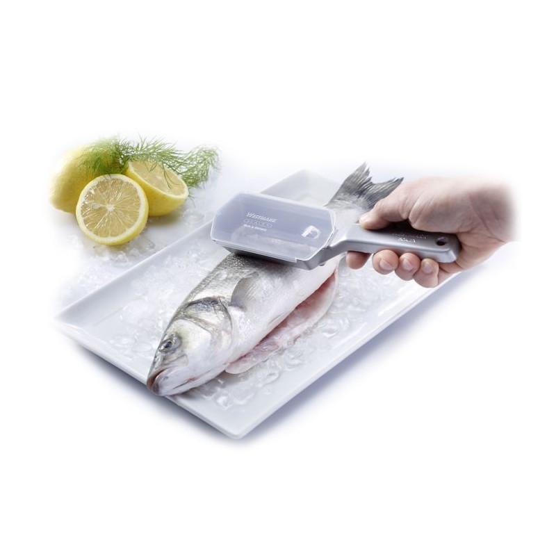 Ecailleur à poisson
