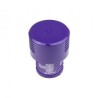 Filtre pour Dyson