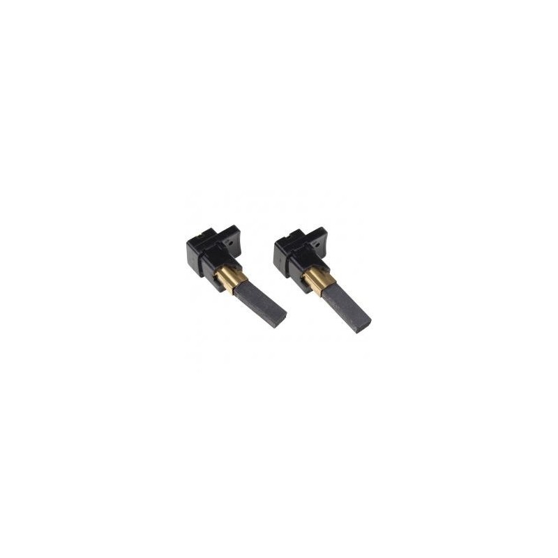 Charbons pour Dyson